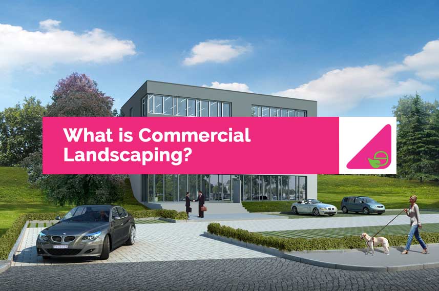 What is Commercial Landscaping?