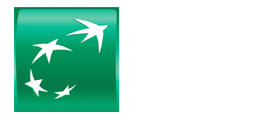 BNP Paribas Logo White