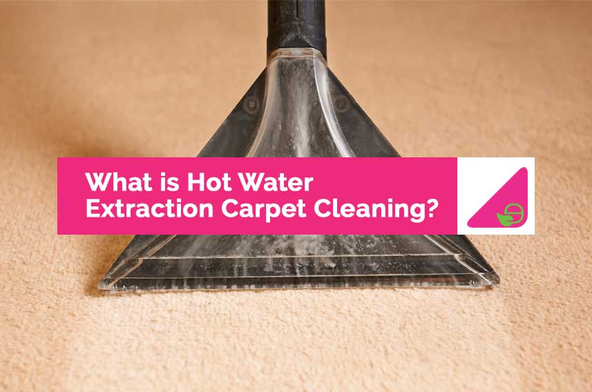 What is Hot Water Extraction Carpet Cleaning?