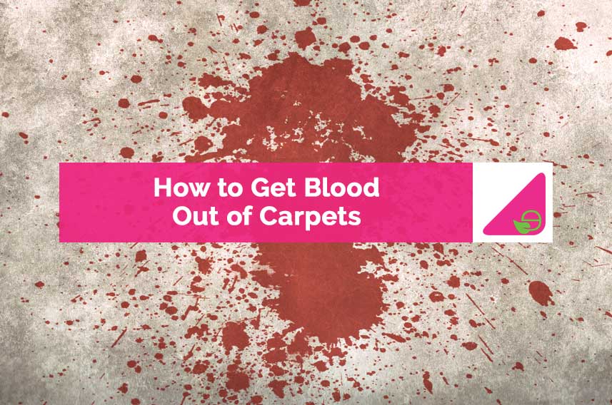 How to Get Blood Out of a Carpet