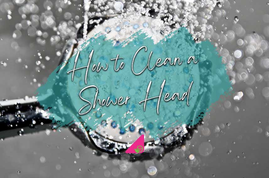 How to Clean & Descale a Shower Head